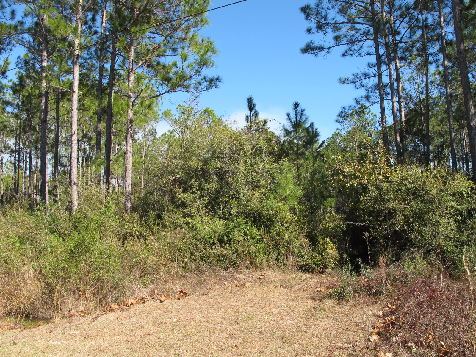 4 HalfAcre Building Lots for Sale, Santa Rosa Beach FL 32459