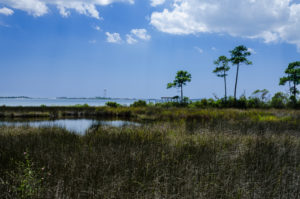 Forest Shores lot for sale on water